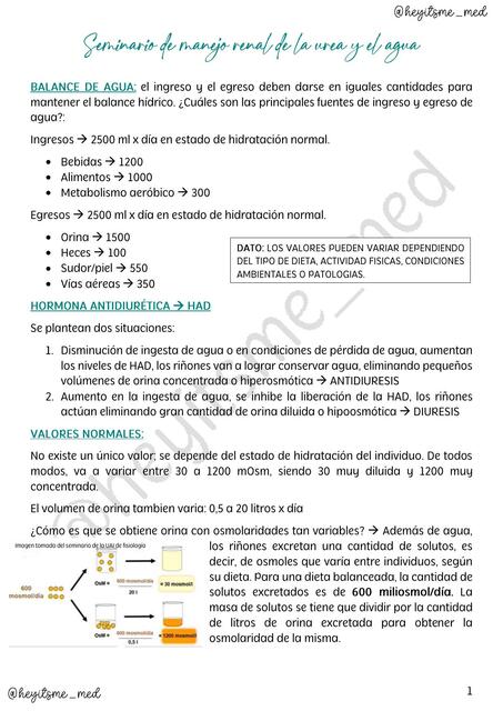 Sistema de Manejo Renal de la Urea y el Agua 