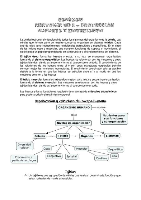 Protección soporte y movimiento