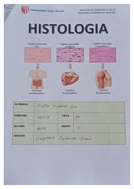 Guía práctica 02 Histología - Martes