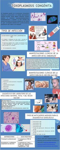 Toxoplasmosis Congénita