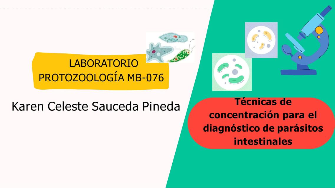 Técnicas de concentración