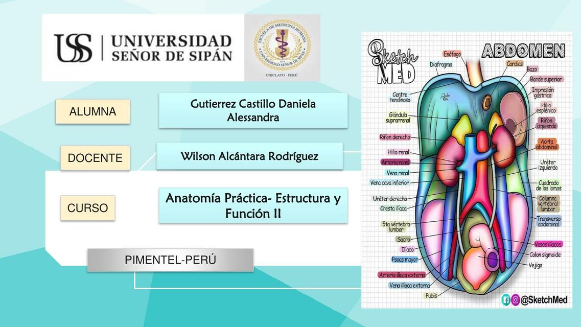 Anatomía Retroperitoneal