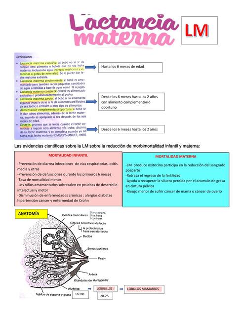 Lactancia Materna 