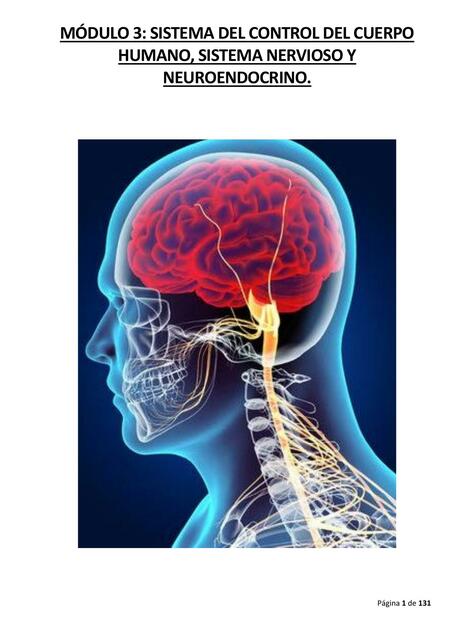 Módulo 3: sistema del control del cuerpo humano, sistema nervioso y neuroendocrino.