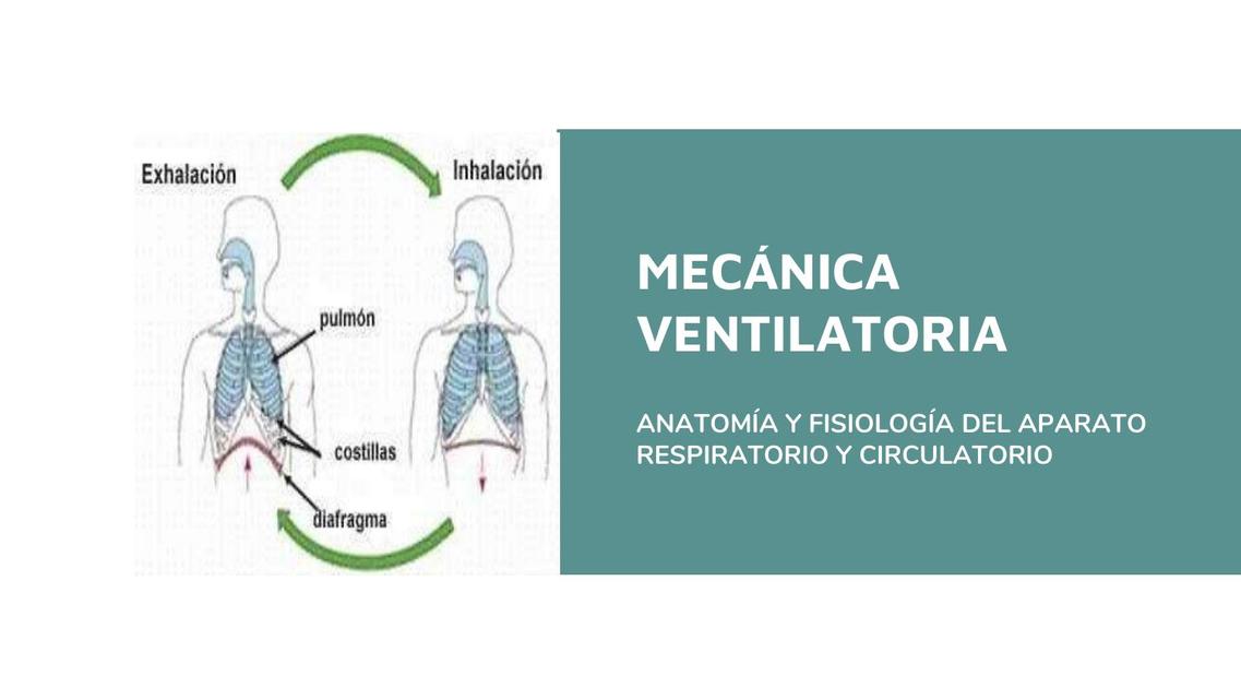 MECÁNICA VENTILATORIA