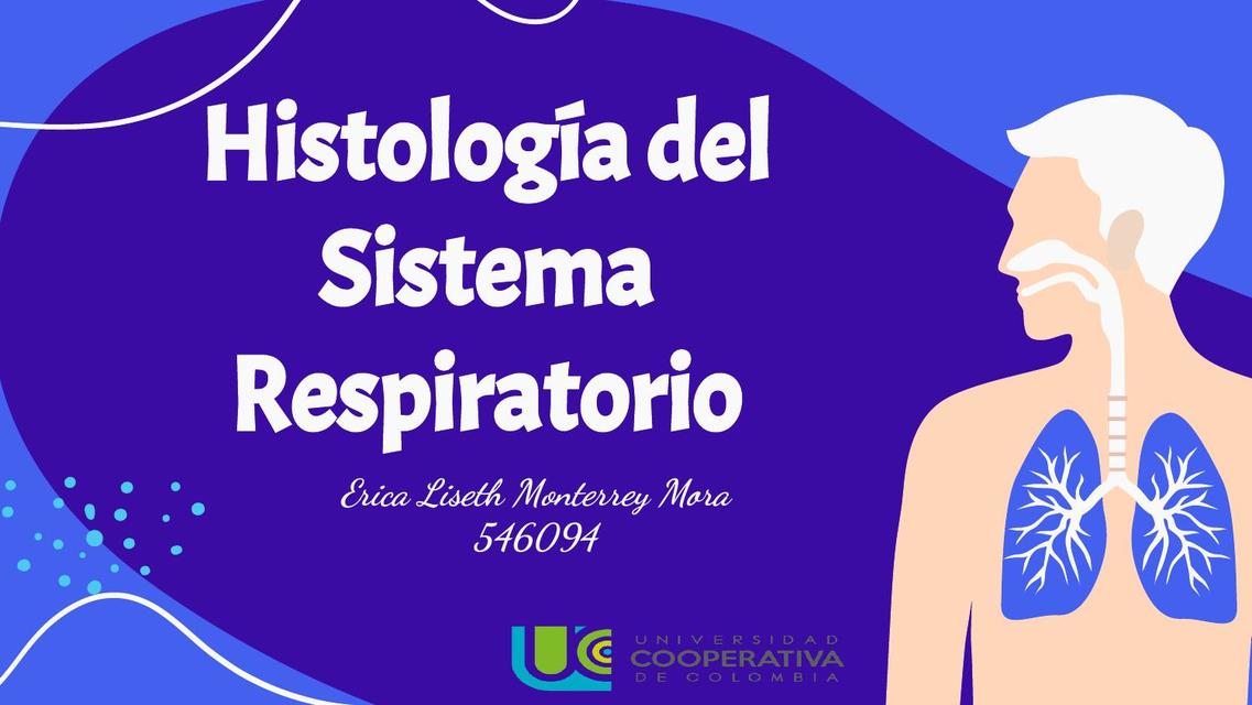 HISTOLOGIA DEL SISTEMA RESPIRATORIO 2