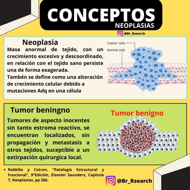 Conceptos Inmunología y Cáncer