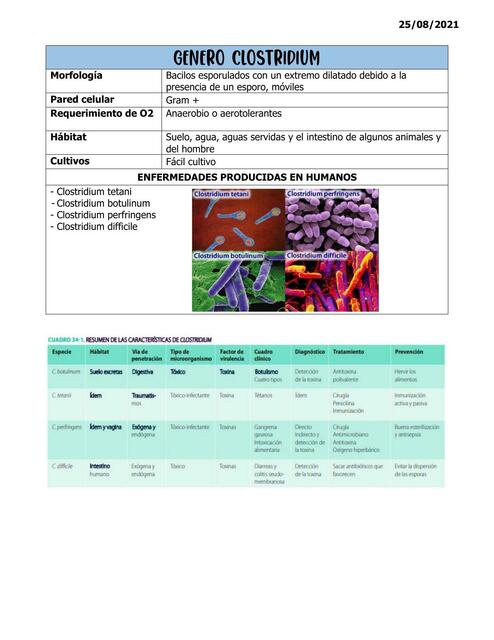 Clostridium, pseudomonas, estreptococos, estafilococos