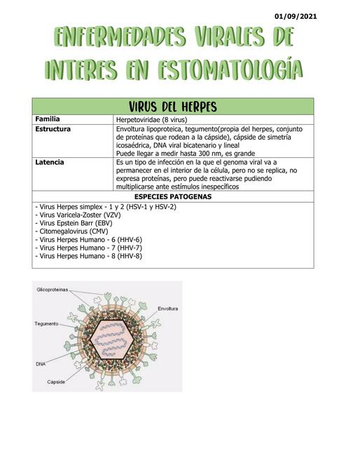 Virus del Herpes, Hepatitis, SIDA