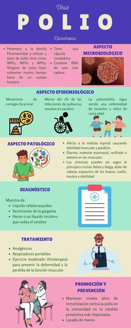 Infografías Polio y Rabia | MARICIELO CASTILLO INFANTES | uDocz