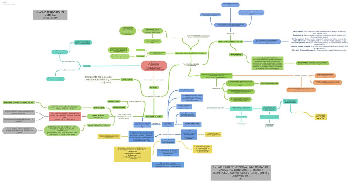 ANATOMÍA OCULAR MAPA CONCEPTUAL