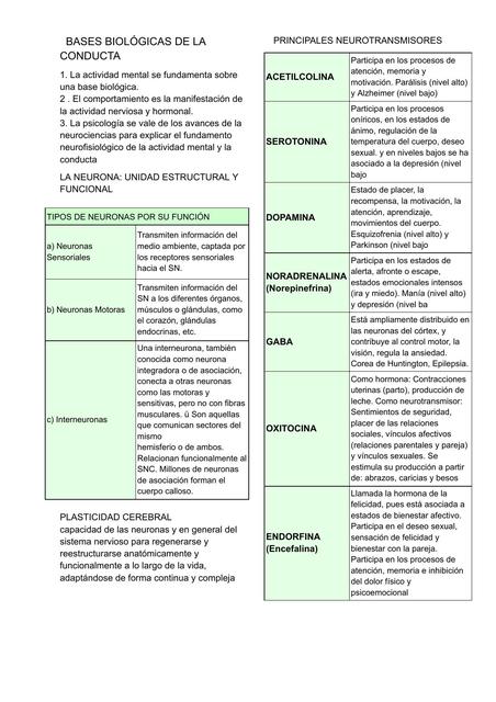 PSICOLOGÍA 1 Documentos de Google