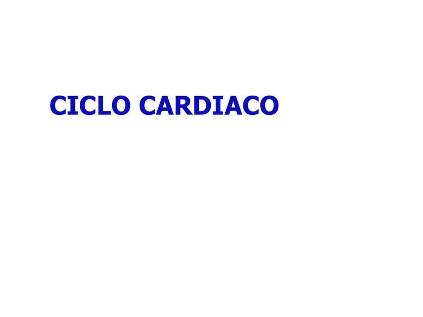 Ciclo cardiaco Regulacion PA