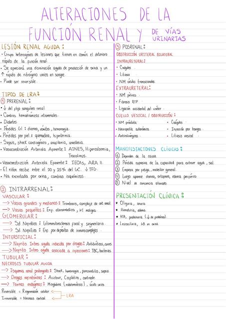 ALTERACIONES DE LA FUNCIÓN RENAL Y VÍAS URINARIAS
