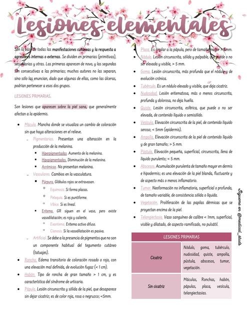 Lesiones elementales de la piel. Medical Studs