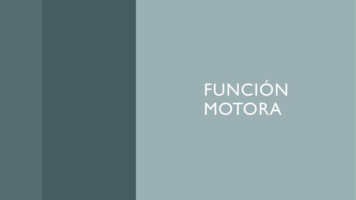 Función motora