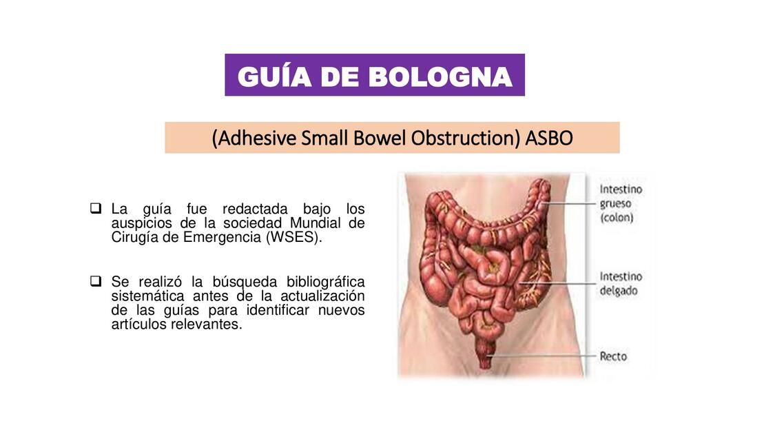  GUÍA DE BOLOGNA ADHERENCIAS PERITONEALES