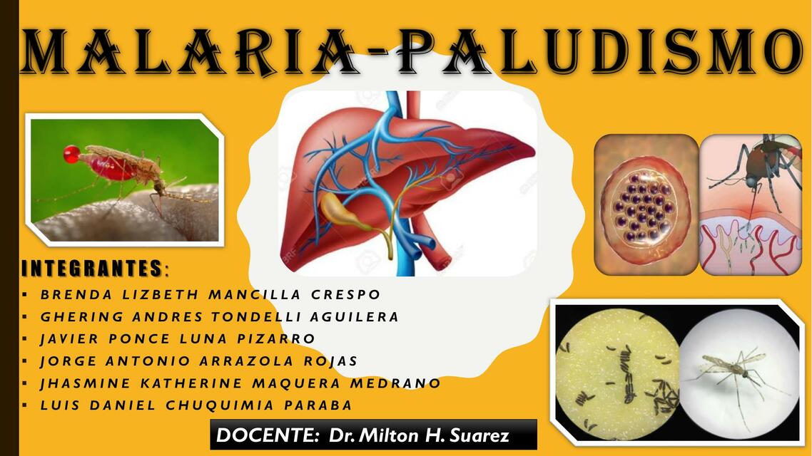 Malaria- Paludismo