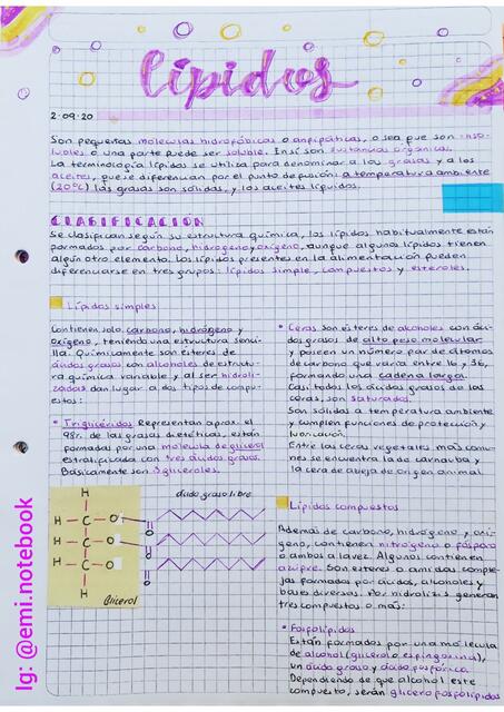 l-pidos-emi-nutrinotes-udocz
