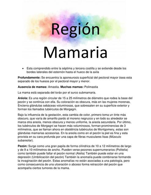 Región Mamaria