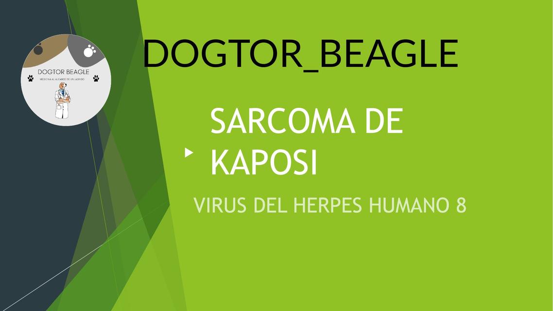 DE KAPOSI Dogtor Beagle uDocz