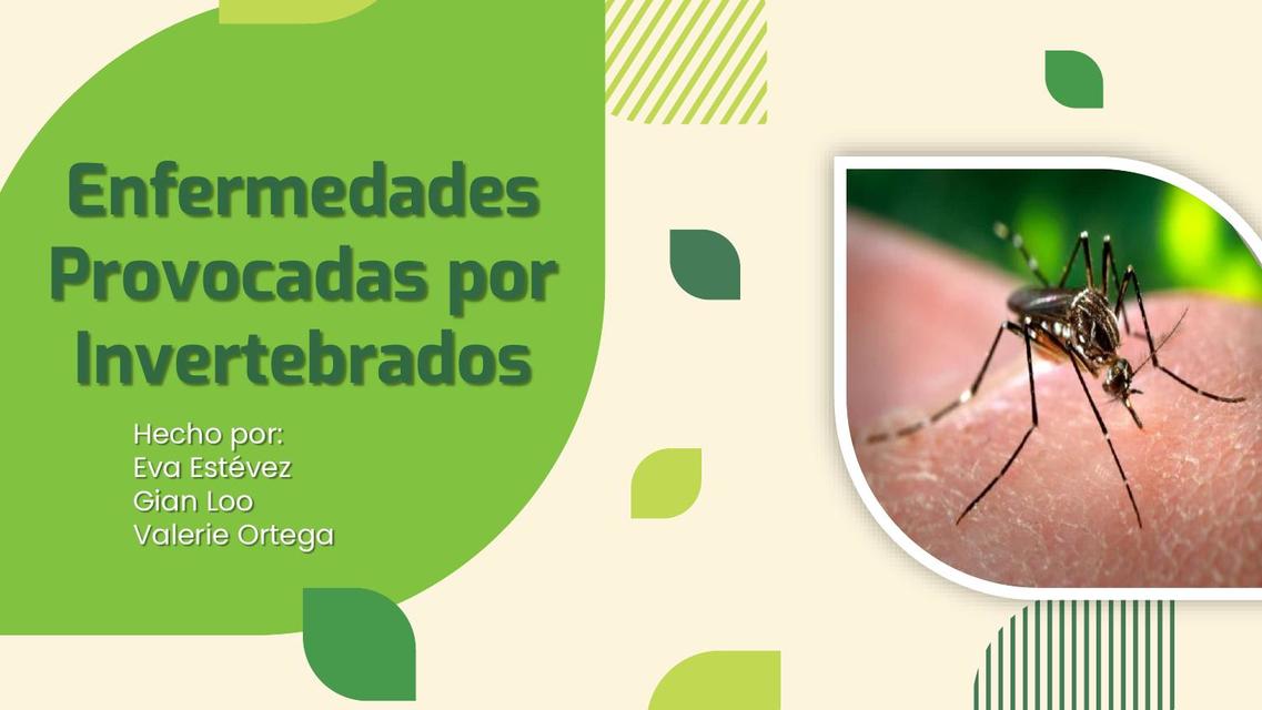 Enfermedades Provocadas por Invertebrados