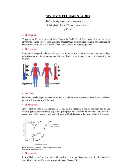 SISTEMA TEGUMENTARIO