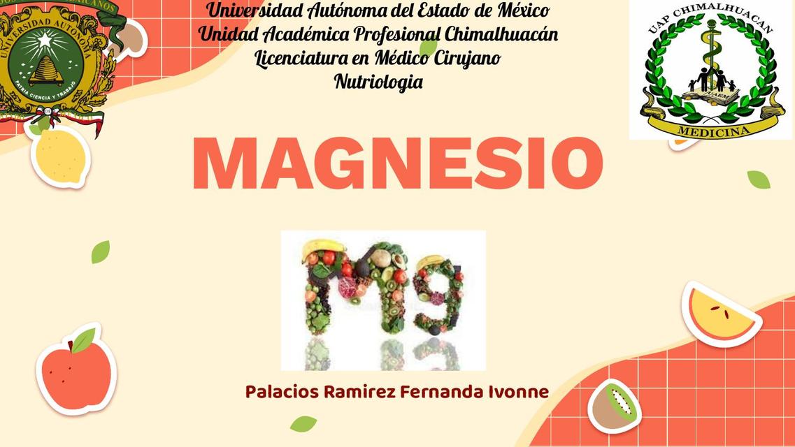 Magnesio