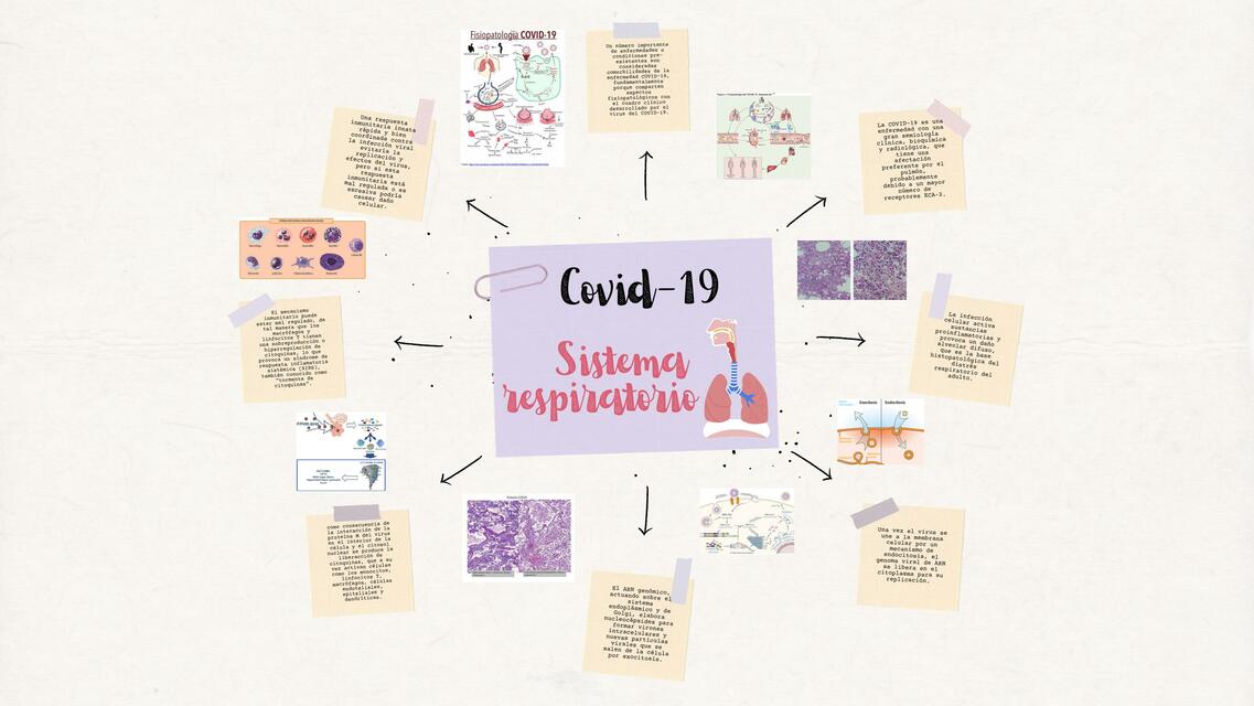 Sistema Respiratorio y Covid