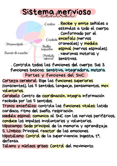 Resumen S. Nervioso y endocrino