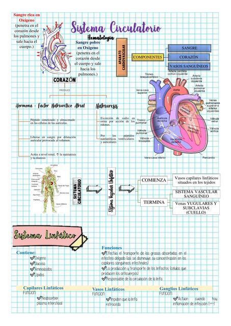 Hematología