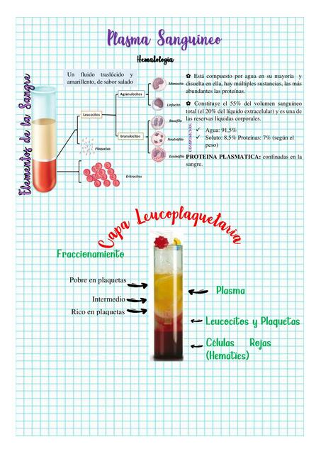 Elementos de la Sangre