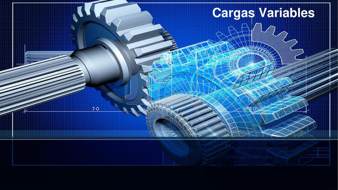 Resúmenes de Cargas variables Descarga apuntes de Cargas variables