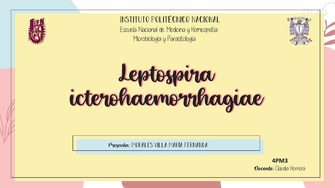 Leptospira icterohaemorrhagiae