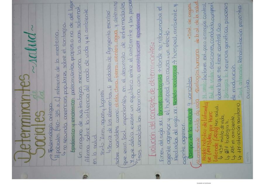 determinantes-sociales-apunte-emi-pereyra-udocz