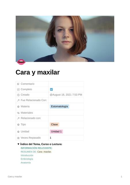 Cara y maxilar