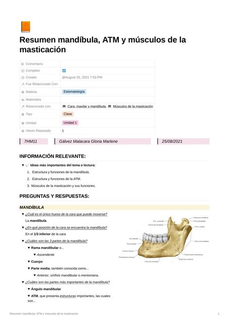 Resumen de Mandíbula, ATM y Músculos de la Masticación