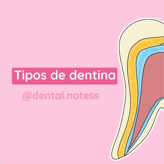 Tipos de dentina