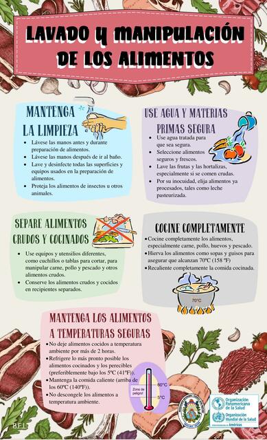 Lavado y manipulación de alimentos