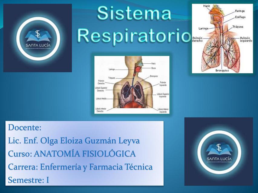 Sistema Respiratorio