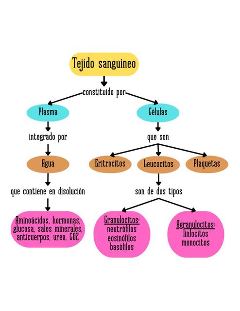 Tejido sanguíneo