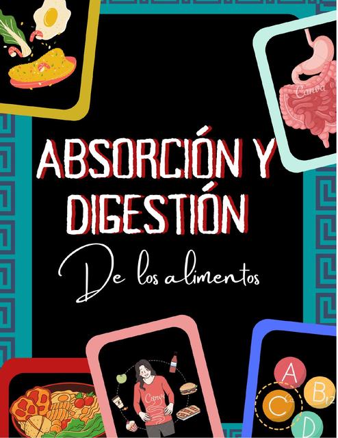 Digestión y Absorción