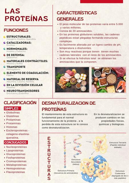 Las proteínas