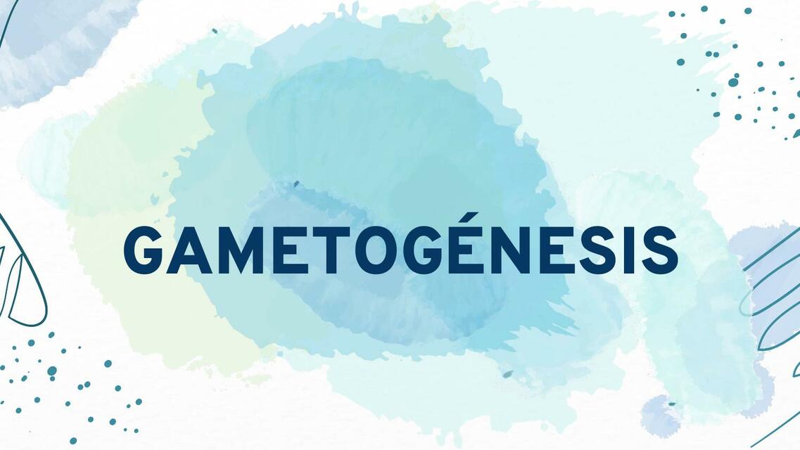 GAMETOGÉNESIS