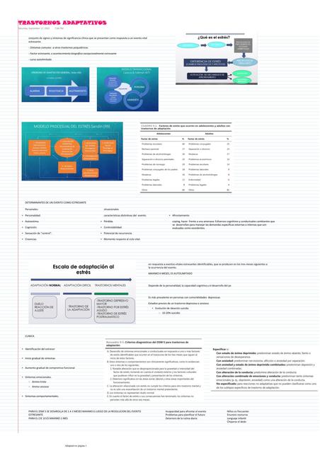 TRASTORNOS ADAPTATIVOS