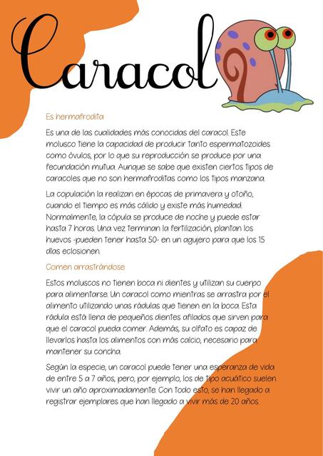 Caracol 