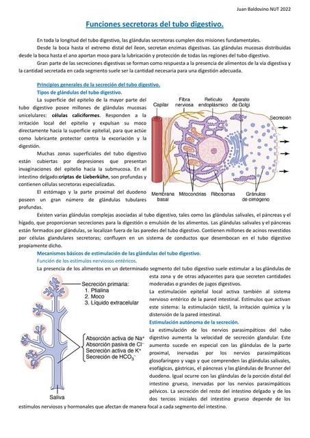 Fisiología Funciones secretoras del tubo digestivo