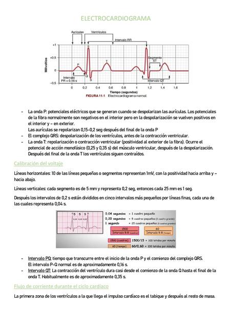 Electrocardiograma. 