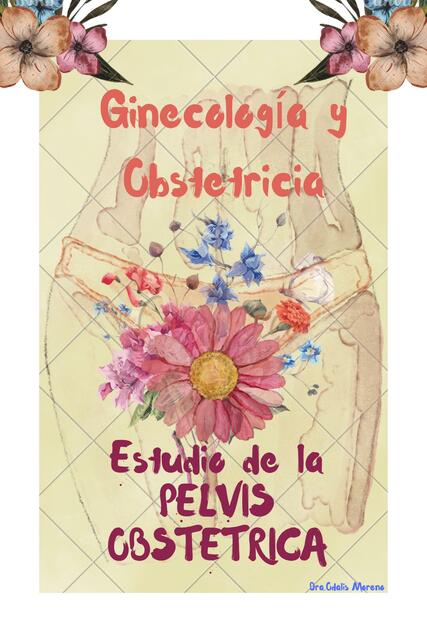🤰☝🏻Estudio de la Pelvis Obstétrica Ginecología y Obstetricia ⚕️ Dra
