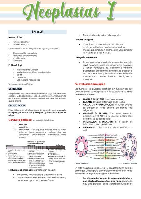 Neoplasias